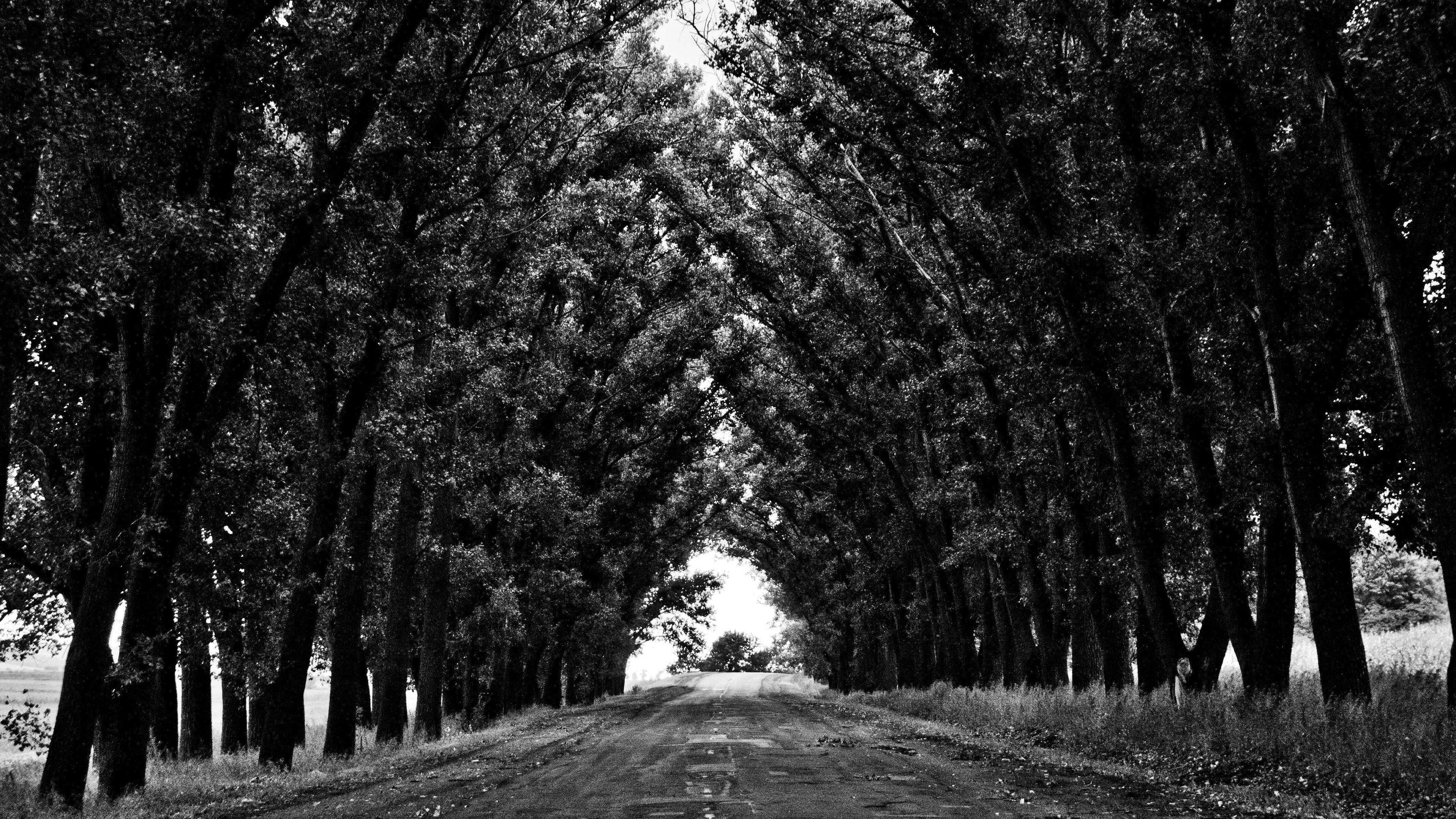 Risk & escalation digest